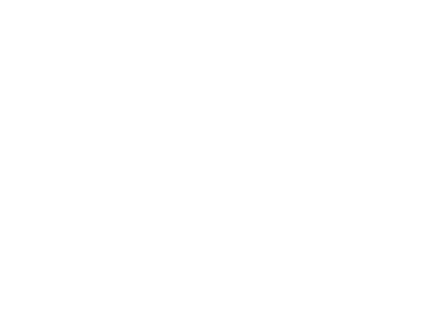 Lithium battery features
